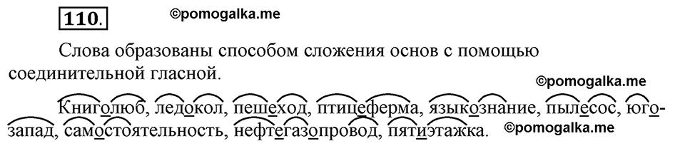 Глава 3. Упражнение №110 русский язык 6 класс Шмелёв