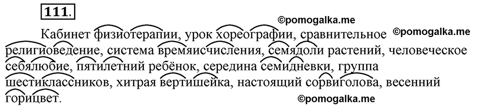 Глава 3. Упражнение №111 русский язык 6 класс Шмелёв