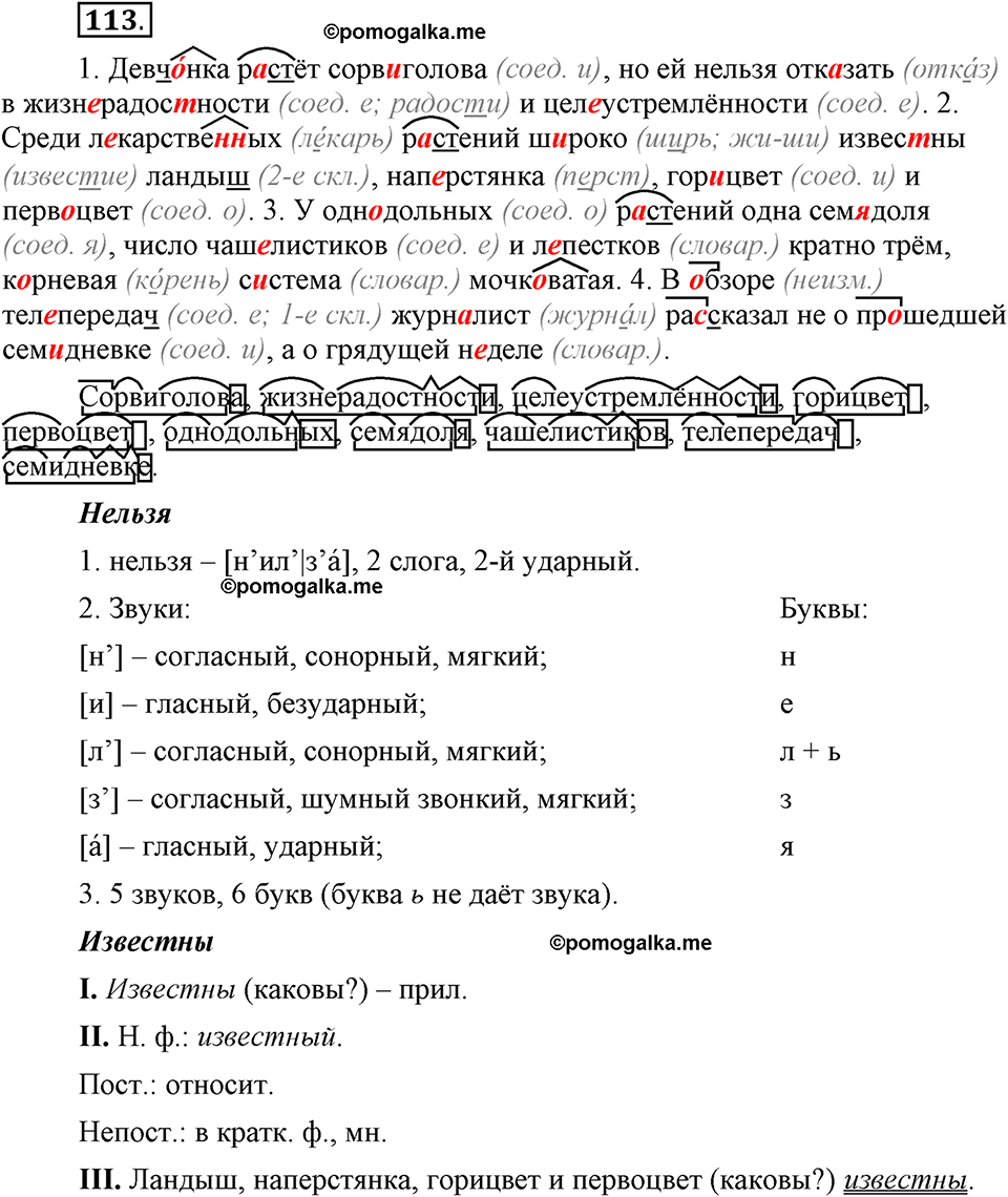 Глава 3. Упражнение №113 русский язык 6 класс Шмелёв