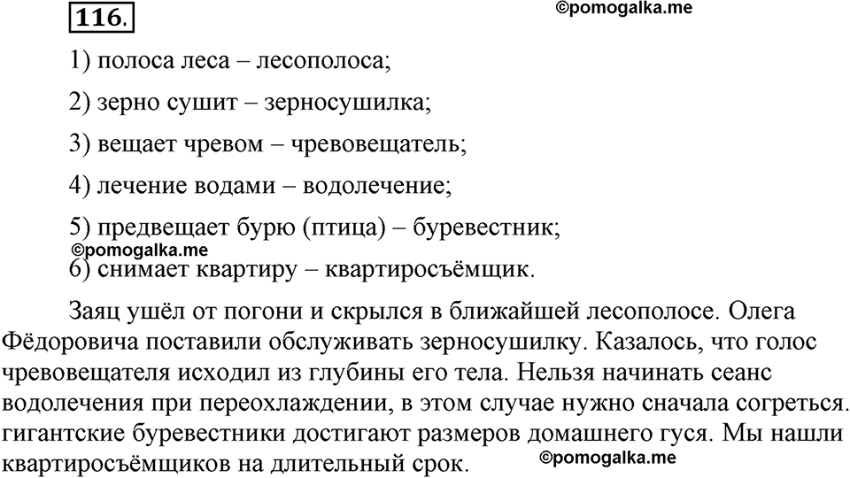 Глава 3. Упражнение №116 русский язык 6 класс Шмелёв