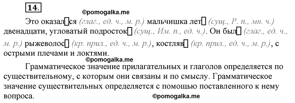 Глава 3. Упражнение №14 русский язык 6 класс Шмелёв