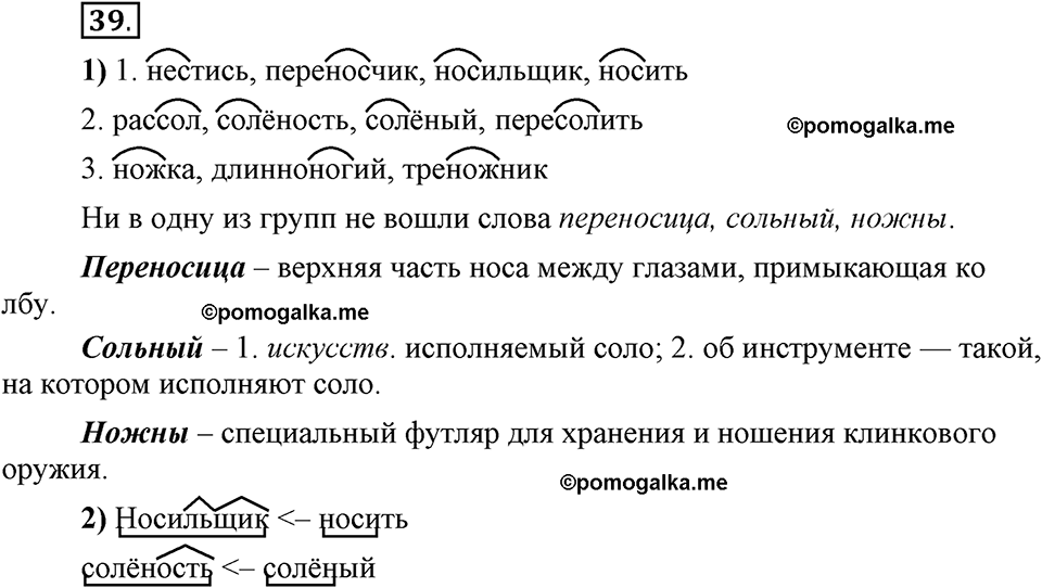 Глава 3. Упражнение №39 русский язык 6 класс Шмелёв