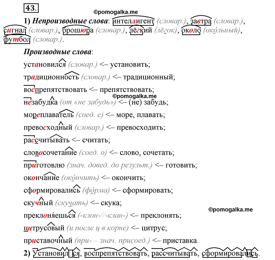 Глава 3. Упражнение №43 русский язык 6 класс Шмелёв