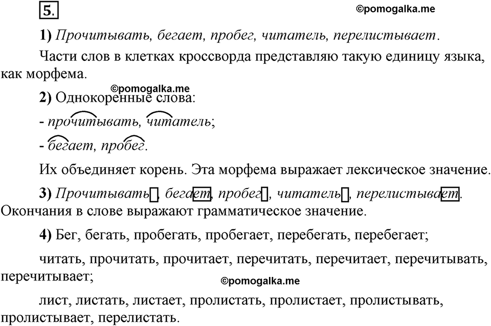 Глава 3. Упражнение №5 русский язык 6 класс Шмелёв