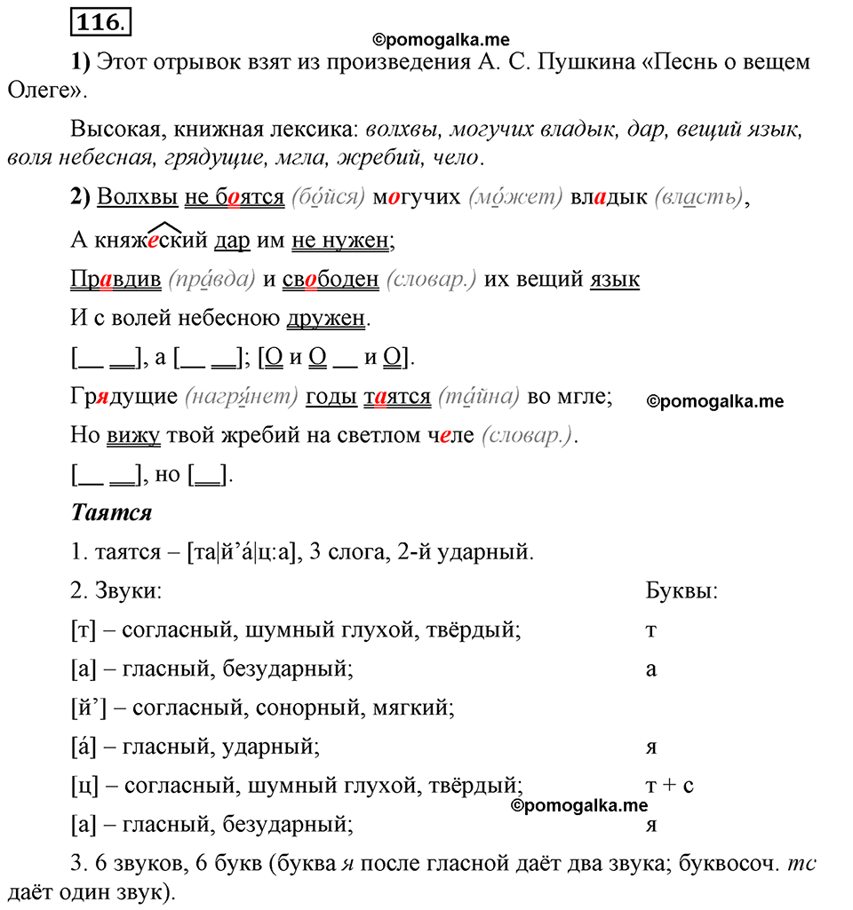 Глава 4. Упражнение №116 русский язык 6 класс Шмелёв