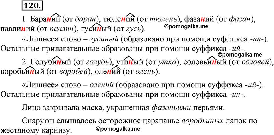 Глава 4. Упражнение №120 русский язык 6 класс Шмелёв