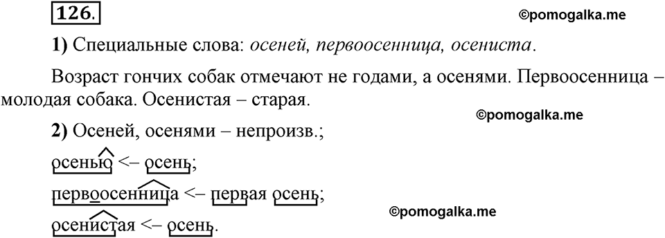 Глава 4. Упражнение №126 русский язык 6 класс Шмелёв