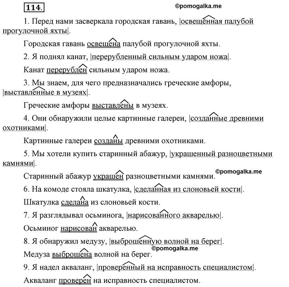 Глава 5. Упражнение №114 русский язык 6 класс Шмелёв