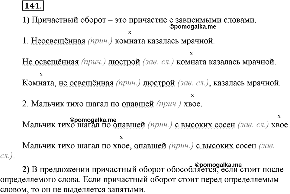 Глава 5. Упражнение №141 русский язык 6 класс Шмелёв