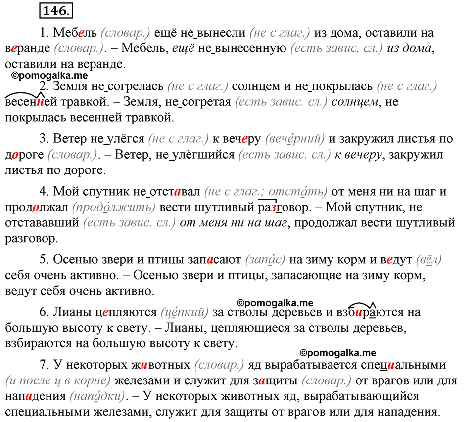 Глава 5. Упражнение №146 русский язык 6 класс Шмелёв