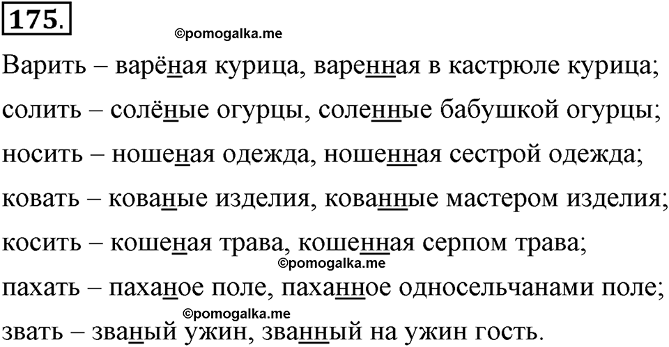 Глава 5. Упражнение №175 русский язык 6 класс Шмелёв