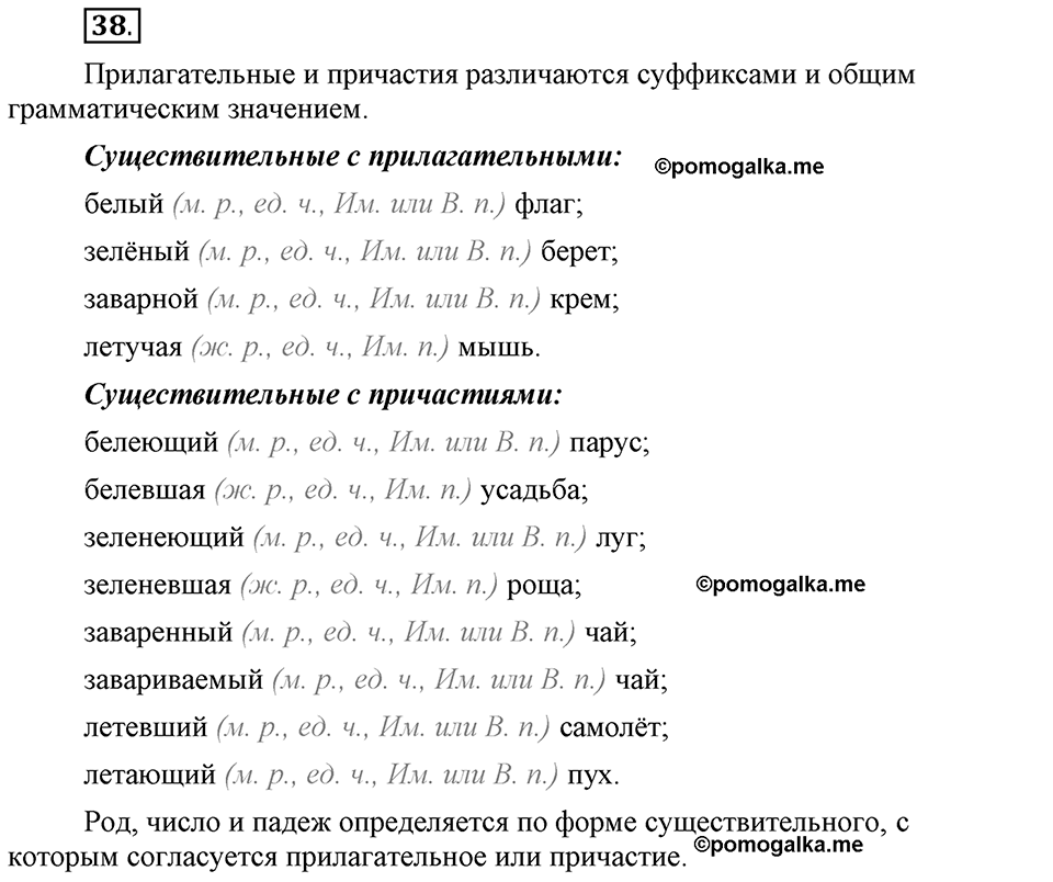 Глава 5. Упражнение №38 русский язык 6 класс Шмелёв