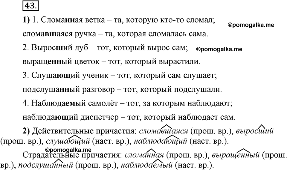 Глава 5. Упражнение №43 русский язык 6 класс Шмелёв
