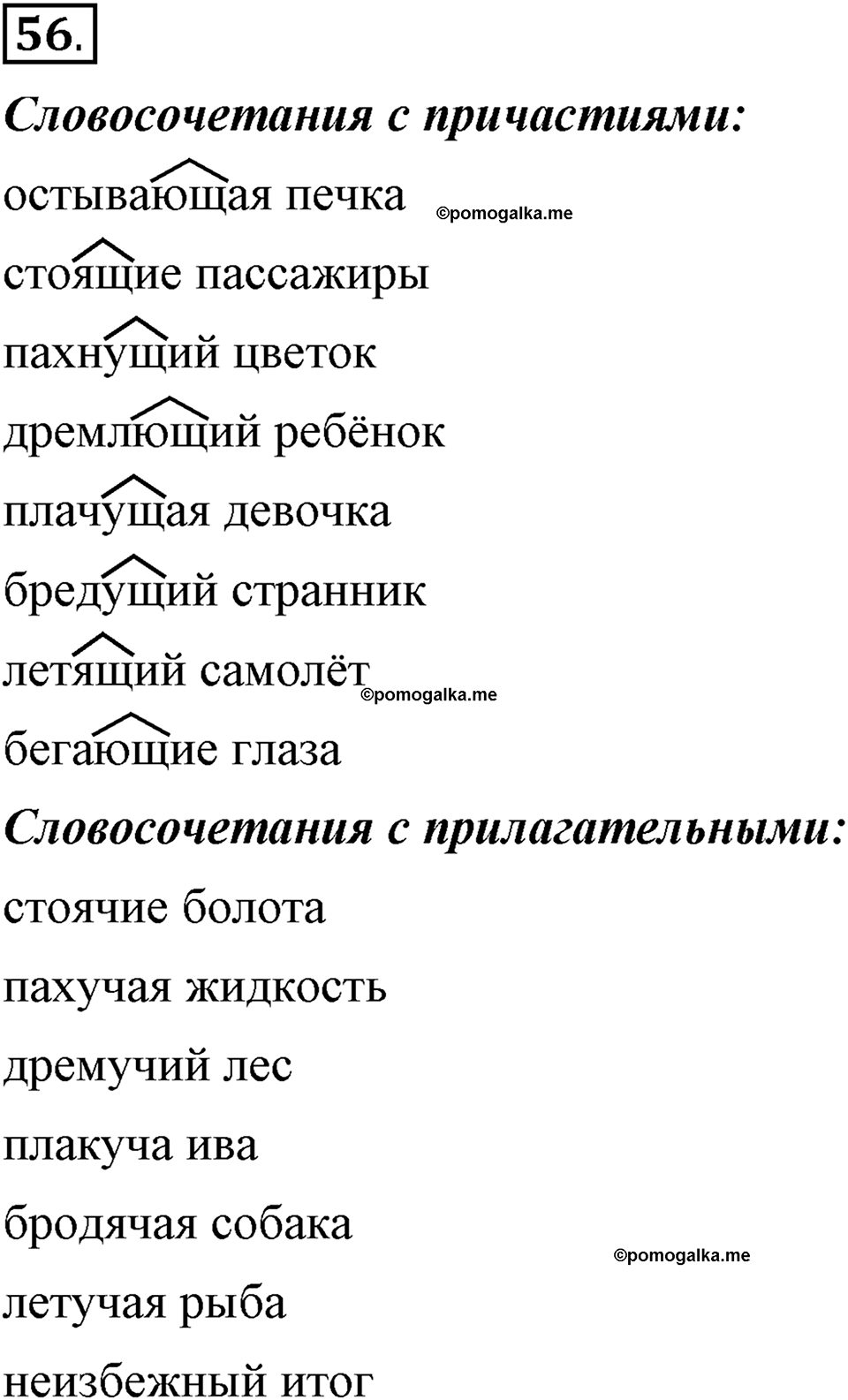 Глава 5. Упражнение №56 русский язык 6 класс Шмелёв