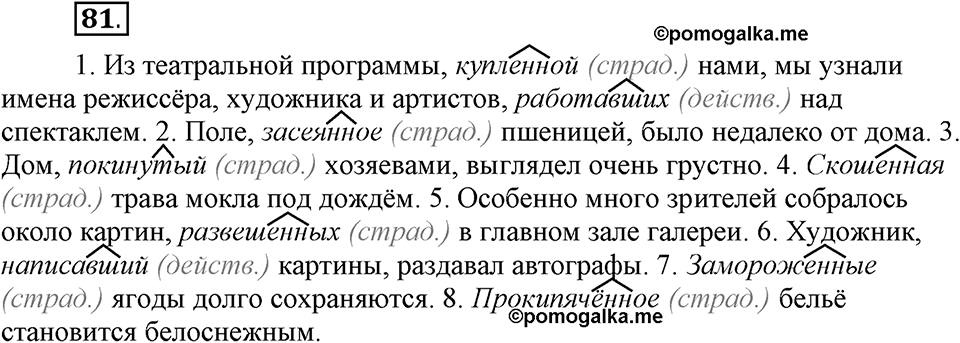 Глава 5. Упражнение №81 русский язык 6 класс Шмелёв