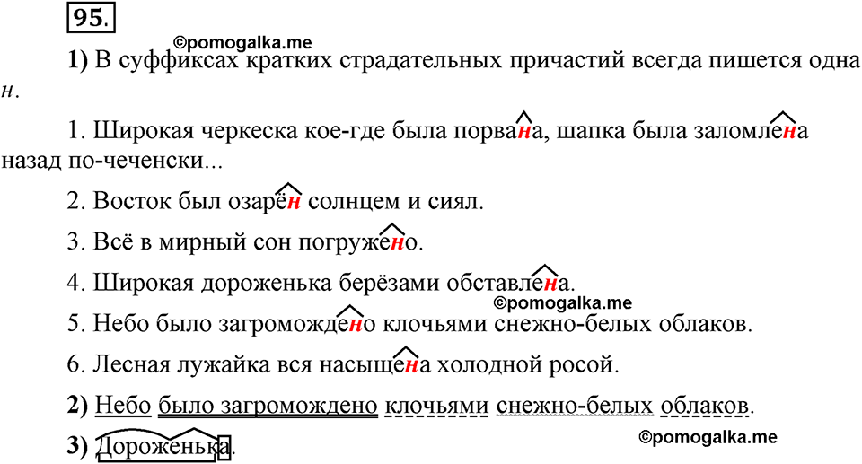 Глава 5. Упражнение №95 русский язык 6 класс Шмелёв