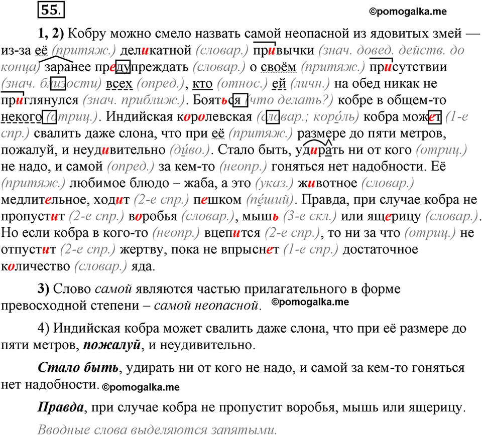 Глава 8. Упражнение №55 русский язык 6 класс Шмелёв