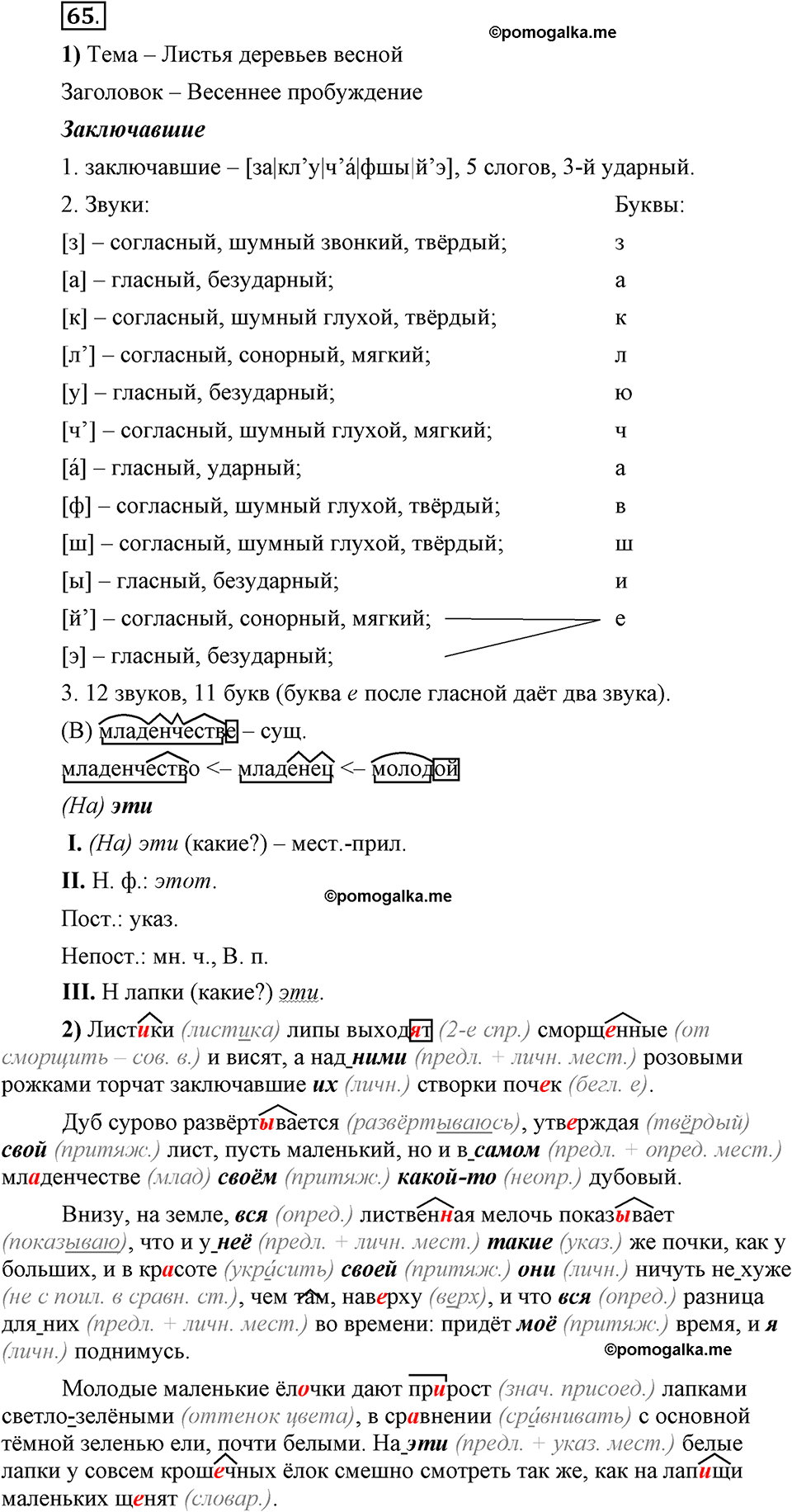 Глава 8. Упражнение №65 русский язык 6 класс Шмелёв