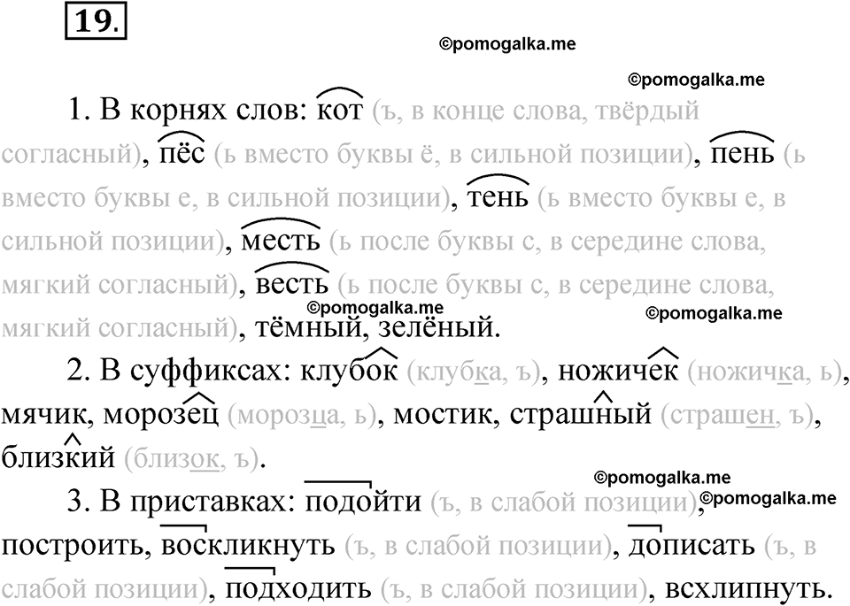страница 21 упражнение 19 русский язык 7 класс Чердаков, Вербицкая Сферы 2023 год