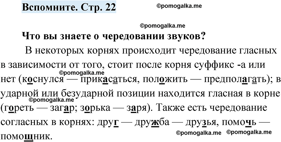 страница 22 вспомните русский язык 7 класс Чердаков, Вербицкая Сферы 2023 год