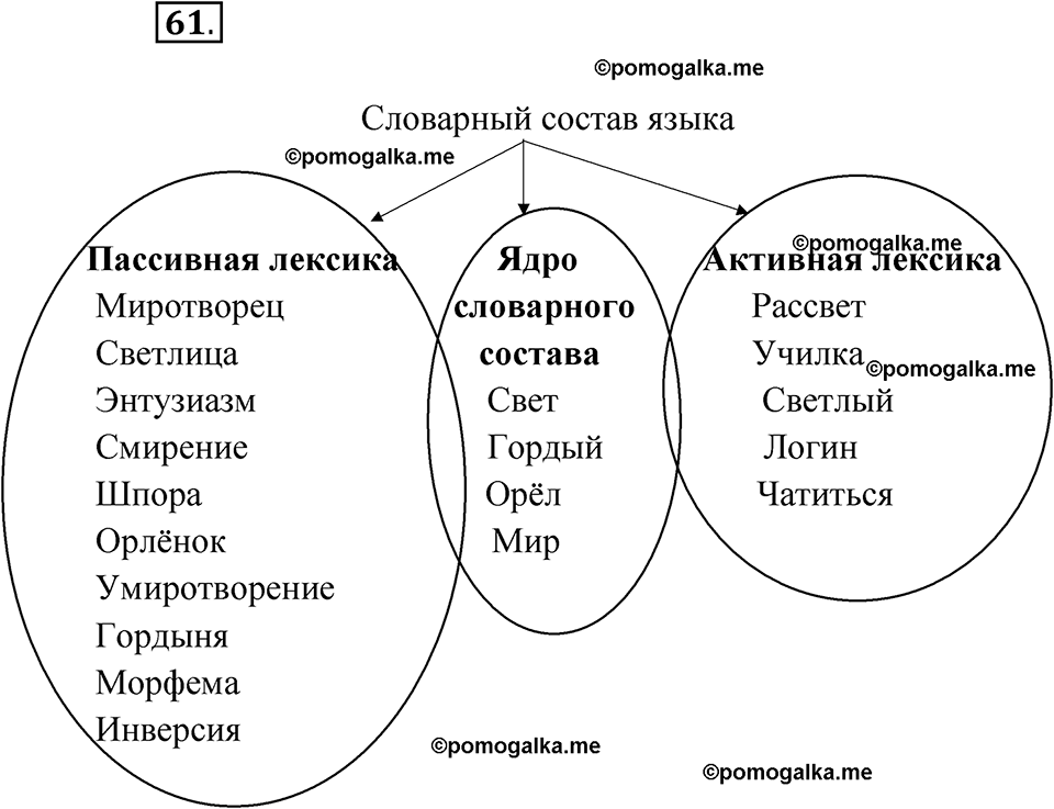 страница 46 упражнение 61 русский язык 7 класс Чердаков, Вербицкая Сферы 2023 год