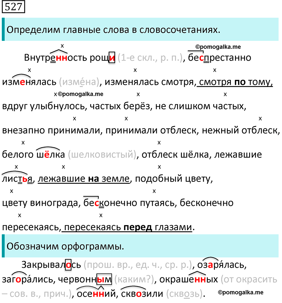 страница 114 упражнение 527 русский язык 7 класс Баранов, Ладыженская 2021-2022 год