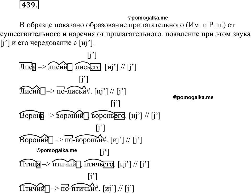 часть 2 страница 36 упражнение 439 русский язык 7 класс Львова 2014 год