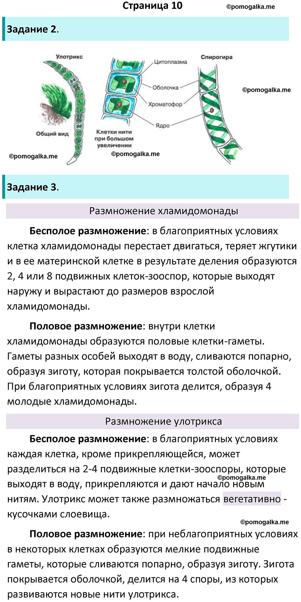 страница 10 биология 7 класс Пасечник, Суматохин рабочая тетрадь 2025 год