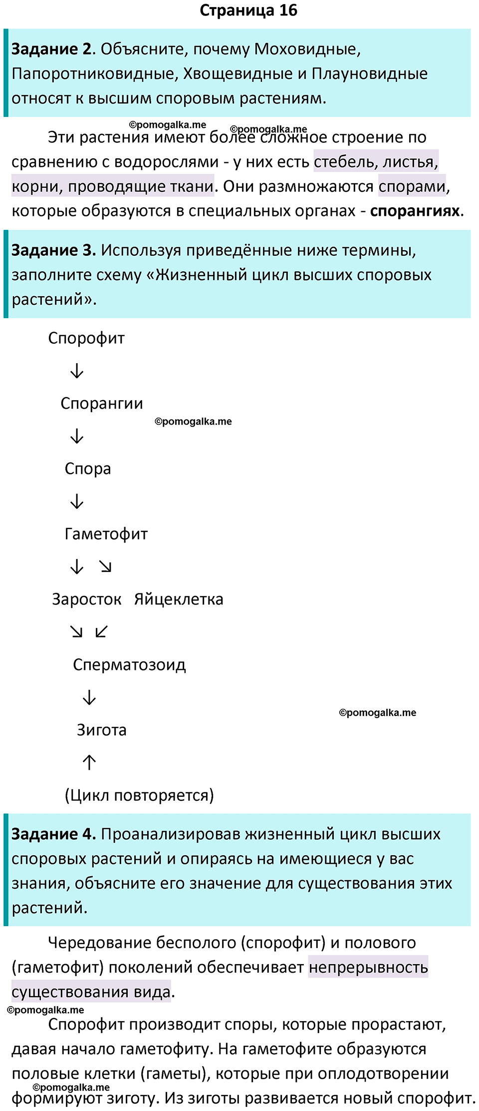 страница 16 биология 7 класс Пасечник, Суматохин рабочая тетрадь 2025 год