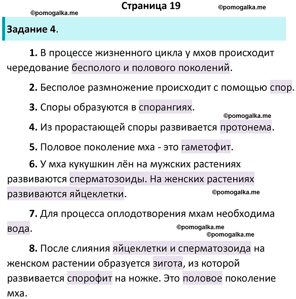 страница 19 биология 7 класс Пасечник, Суматохин рабочая тетрадь 2025 год
