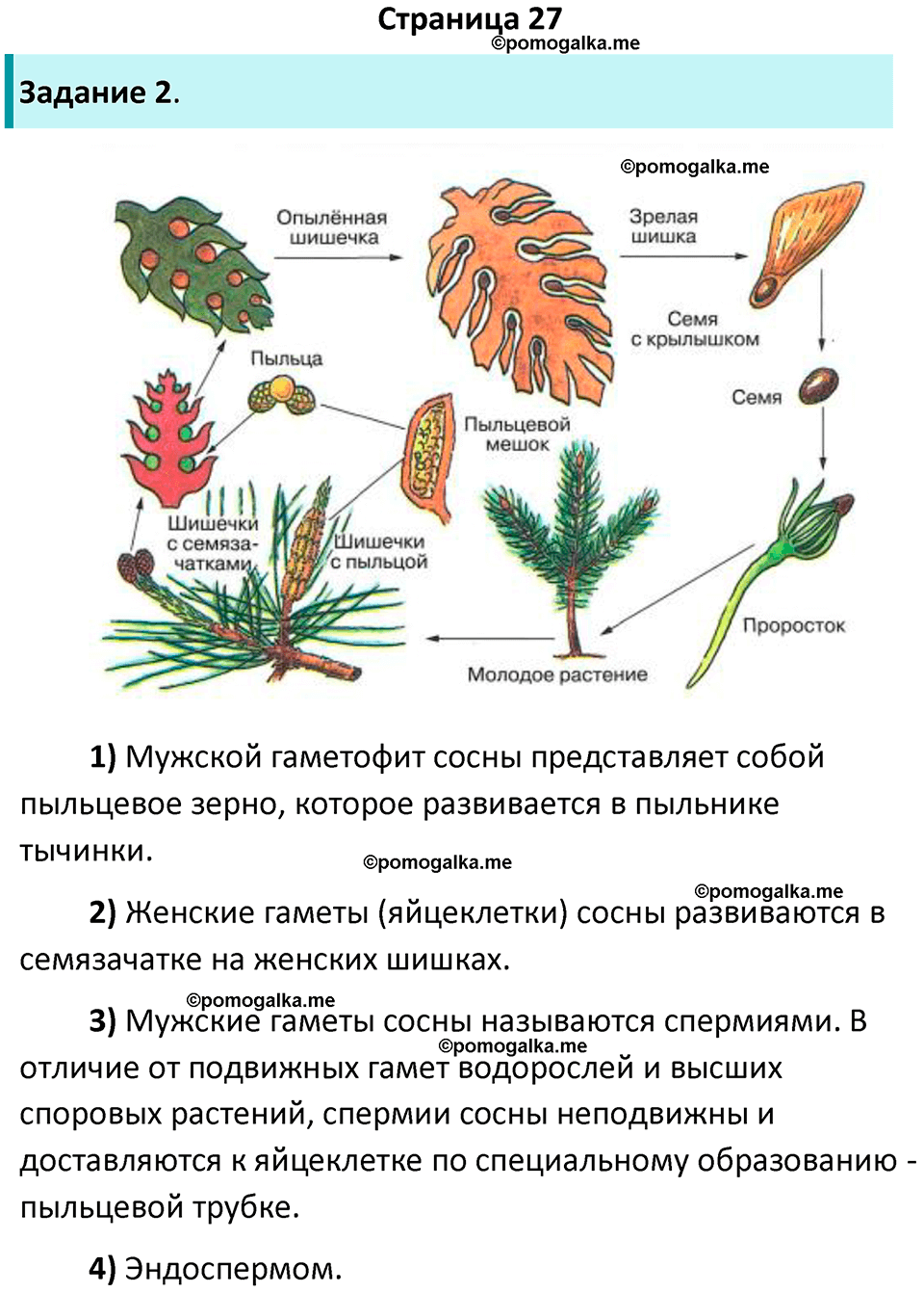 страница 27 биология 7 класс Пасечник, Суматохин рабочая тетрадь 2025 год
