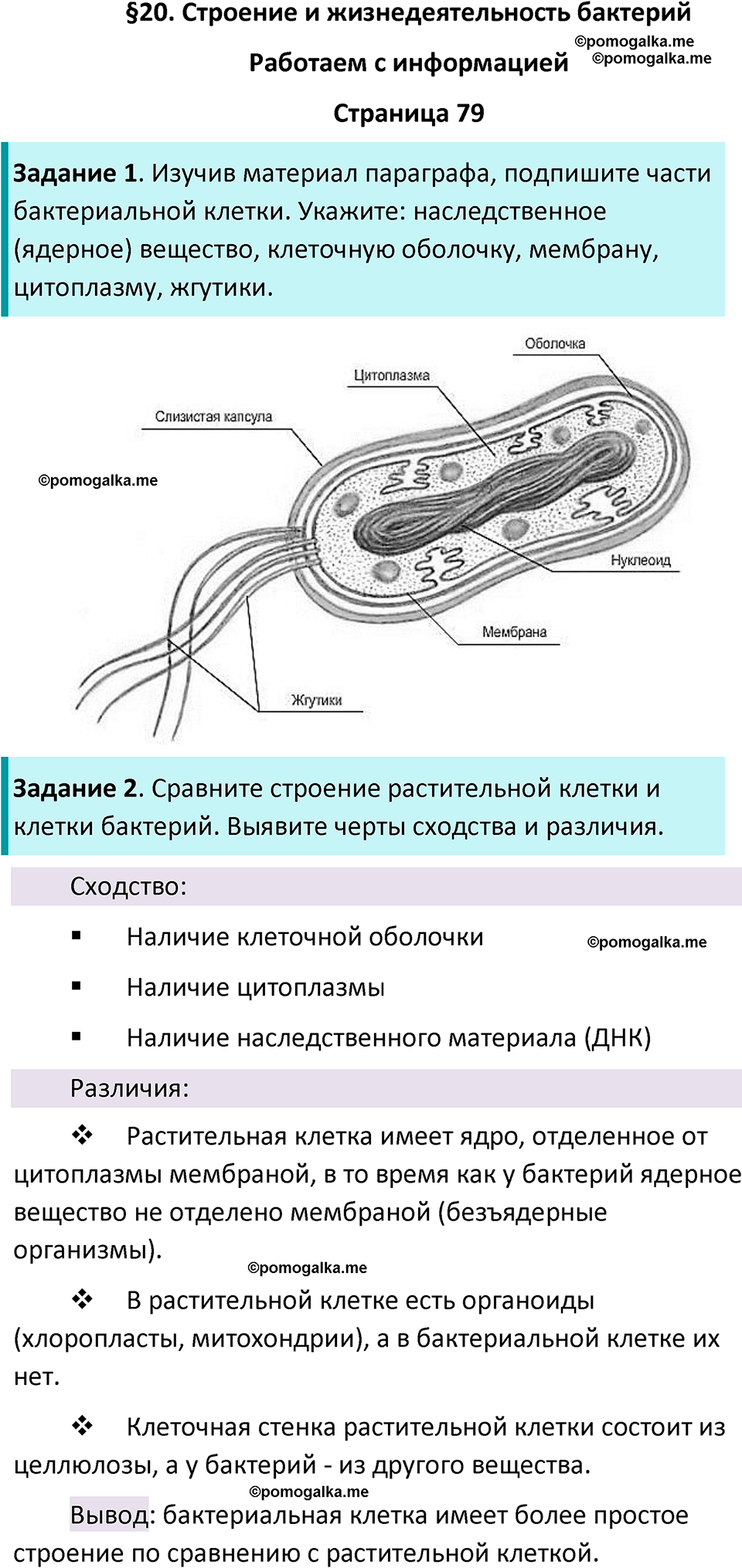 страница 79 биология 7 класс Пасечник, Суматохин рабочая тетрадь 2025 год