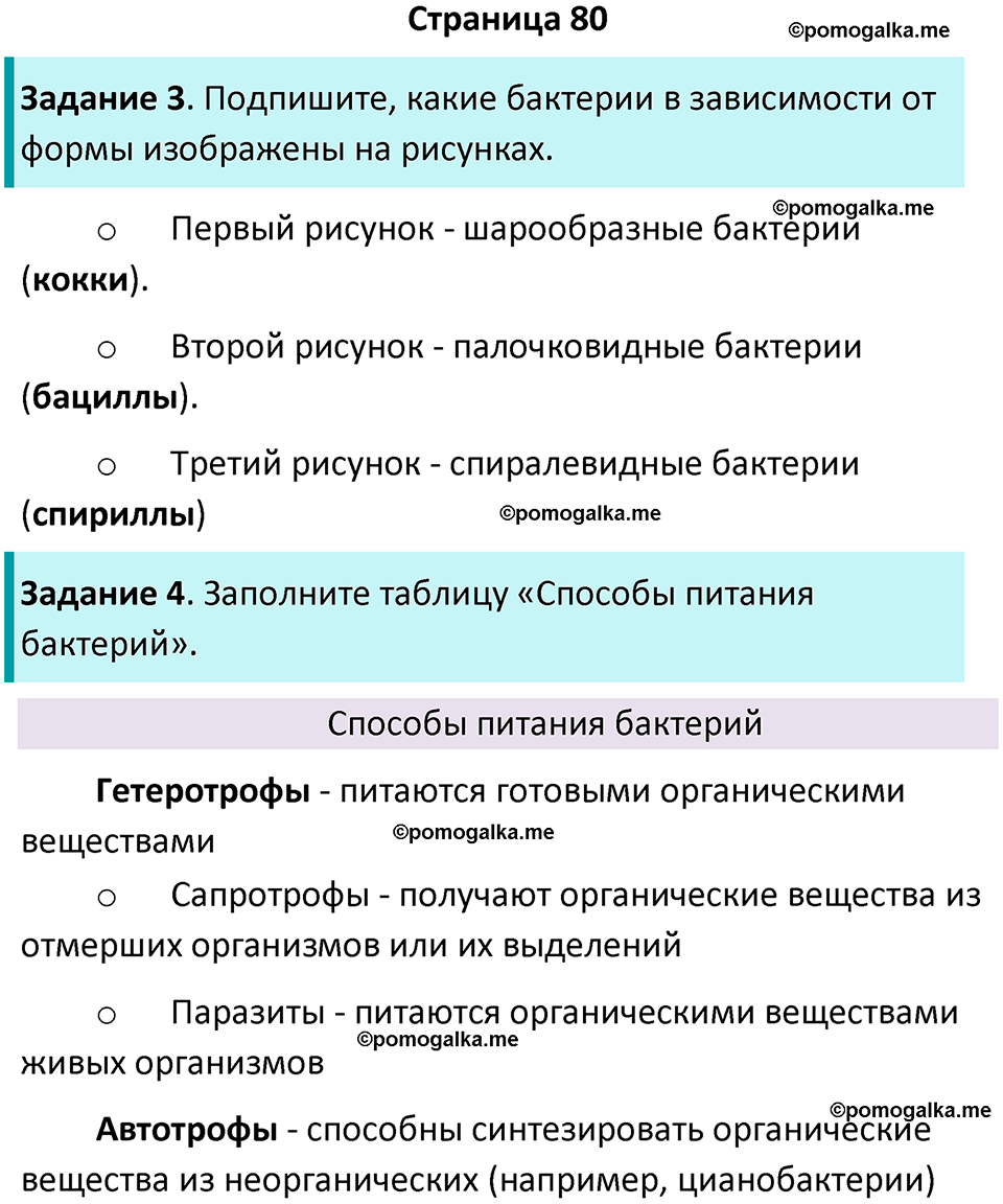 страница 80 биология 7 класс Пасечник, Суматохин рабочая тетрадь 2025 год