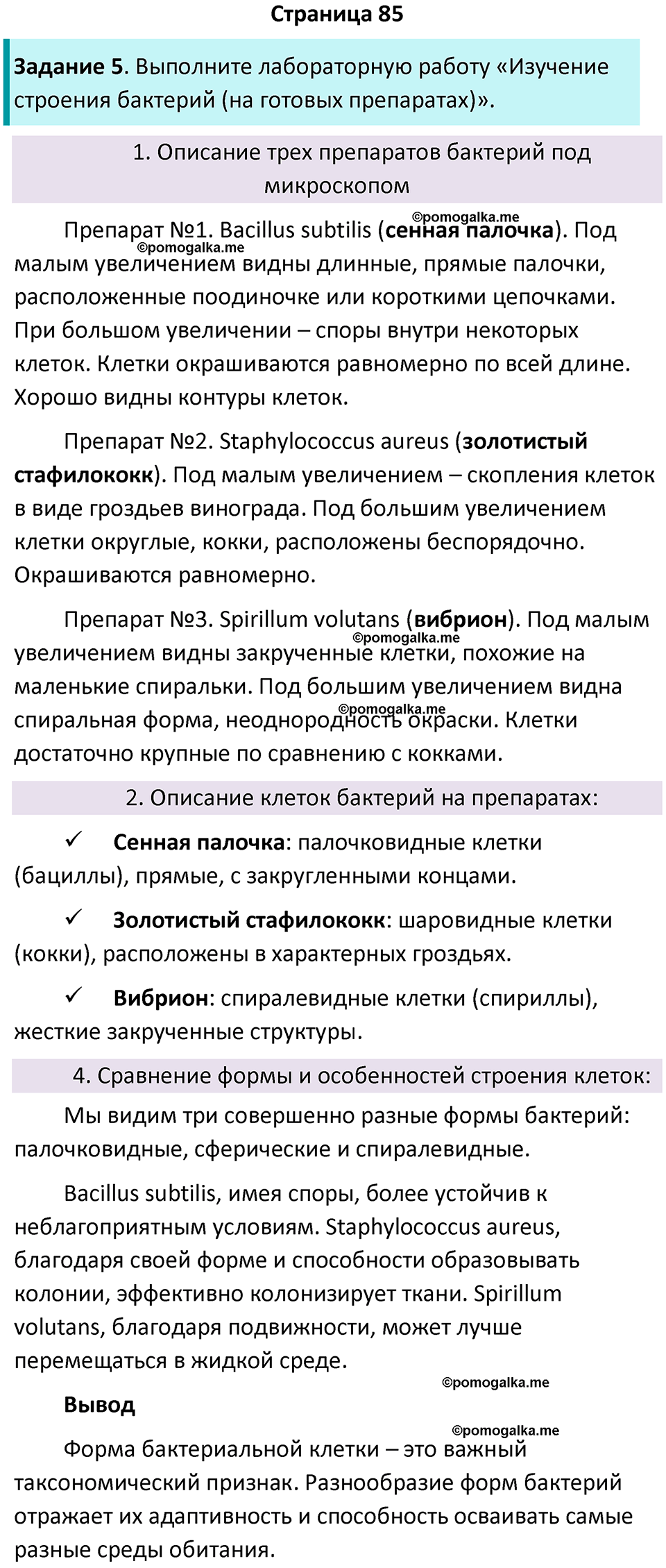 страница 85 биология 7 класс Пасечник, Суматохин рабочая тетрадь 2025 год