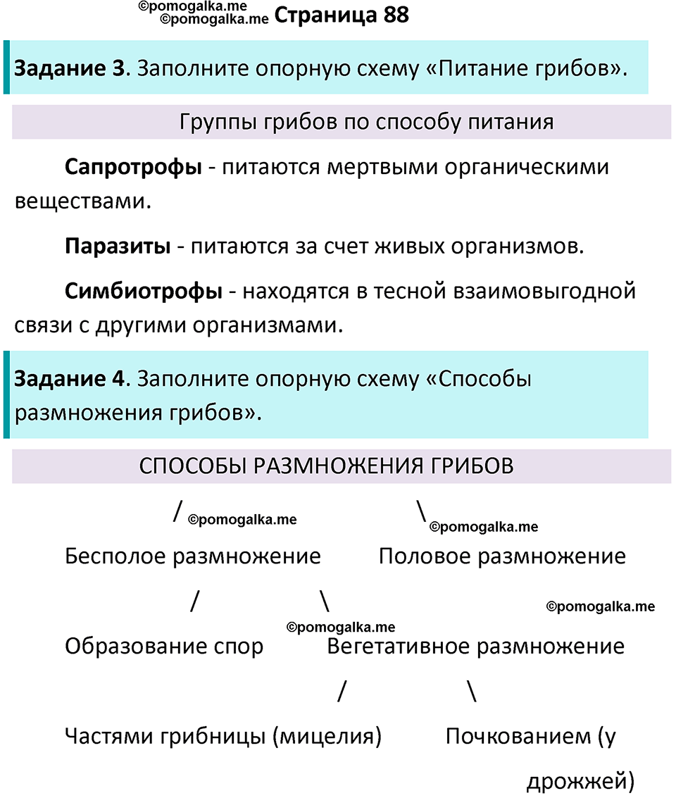 страница 88 биология 7 класс Пасечник, Суматохин рабочая тетрадь 2025 год