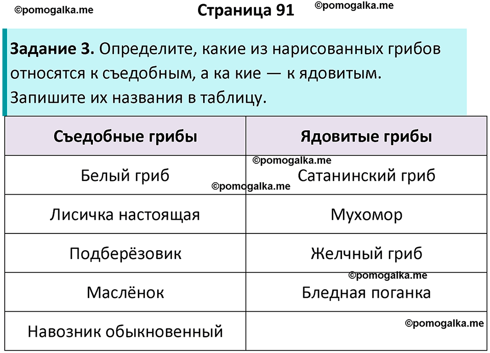 страница 91 биология 7 класс Пасечник, Суматохин рабочая тетрадь 2025 год