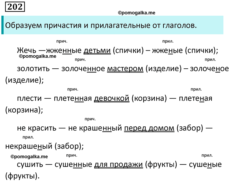 упражнение 202 русский язык 7 класс Пименова, Еремеева, Купалова, Лидман-Орлова 2025 год