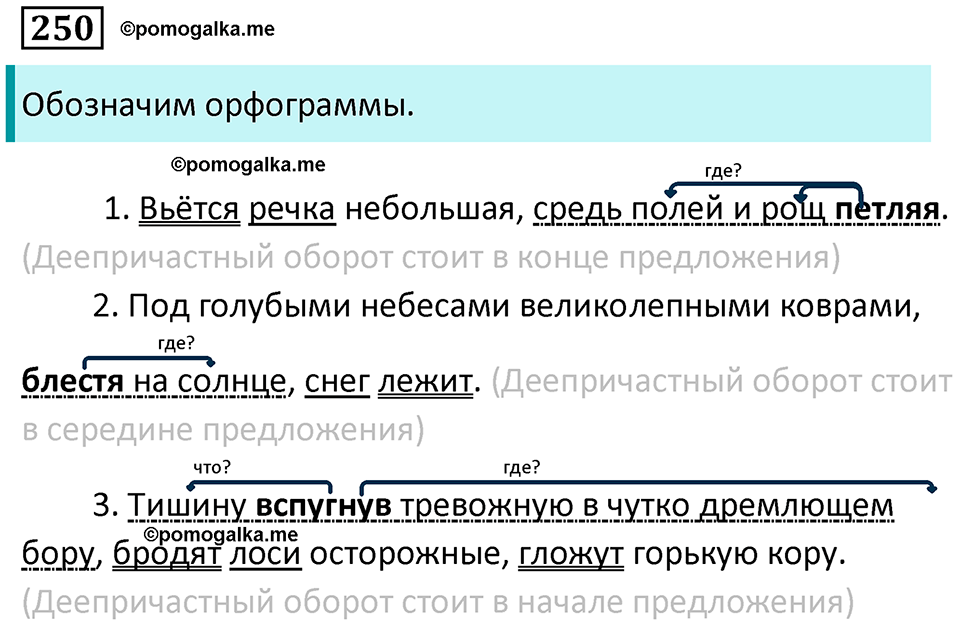 упражнение 250 русский язык 7 класс Пименова, Еремеева, Купалова, Лидман-Орлова 2025 год