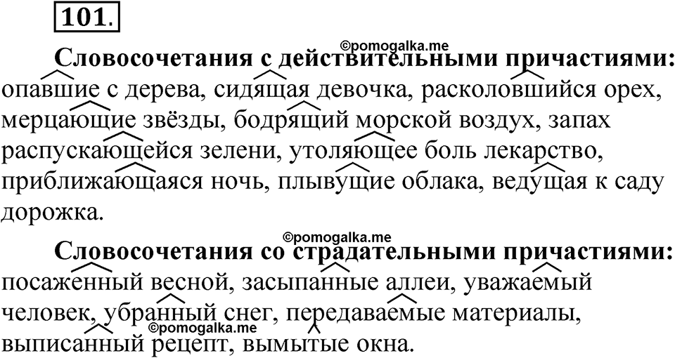 упражнение 101 русский язык 7 класс Рыбченкова 2023 год