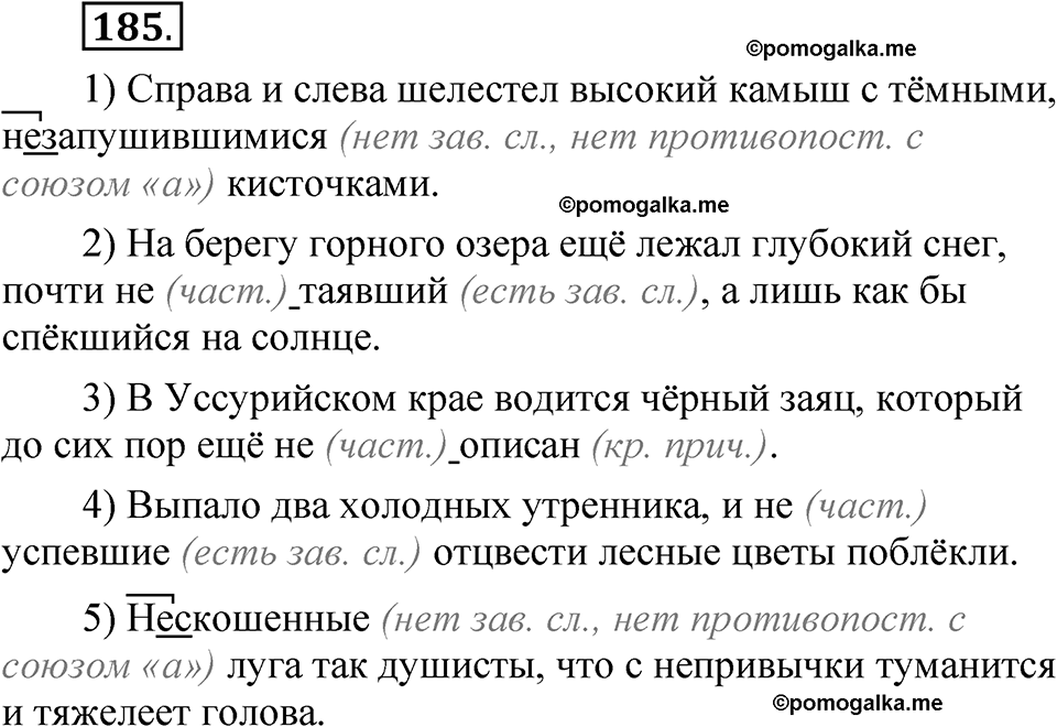 упражнение 185 русский язык 7 класс Рыбченкова 2023 год