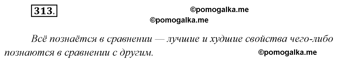 упражнение №313 русский язык 7 класс Сабитова, Скляренко