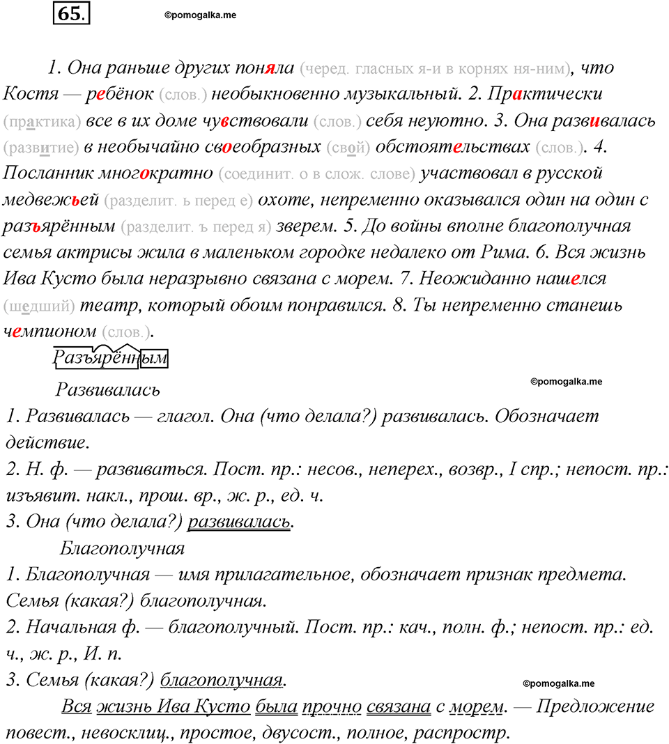 Глава 3. Упражнение №65 русский язык 7 класс Шмелев