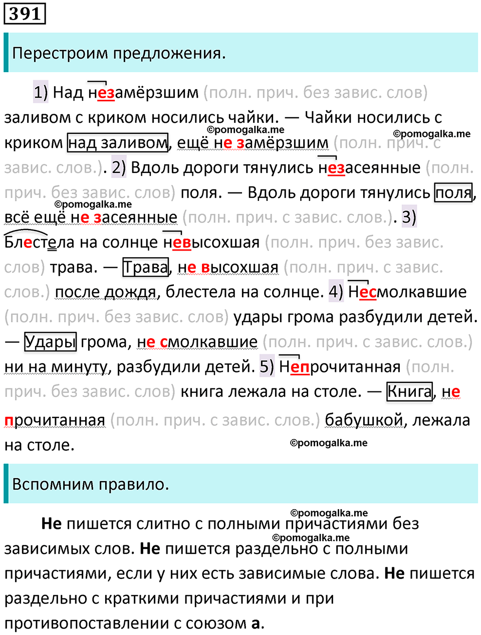 разбор упражнения №391 русский язык 8 класс Бархударов 2023 год
