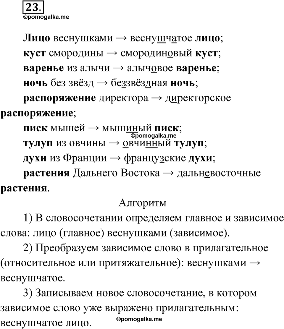 страница 22 упражнение 23 русский язык 8 класс Бондаренко рабочая тетрадь 1 часть 2024 год