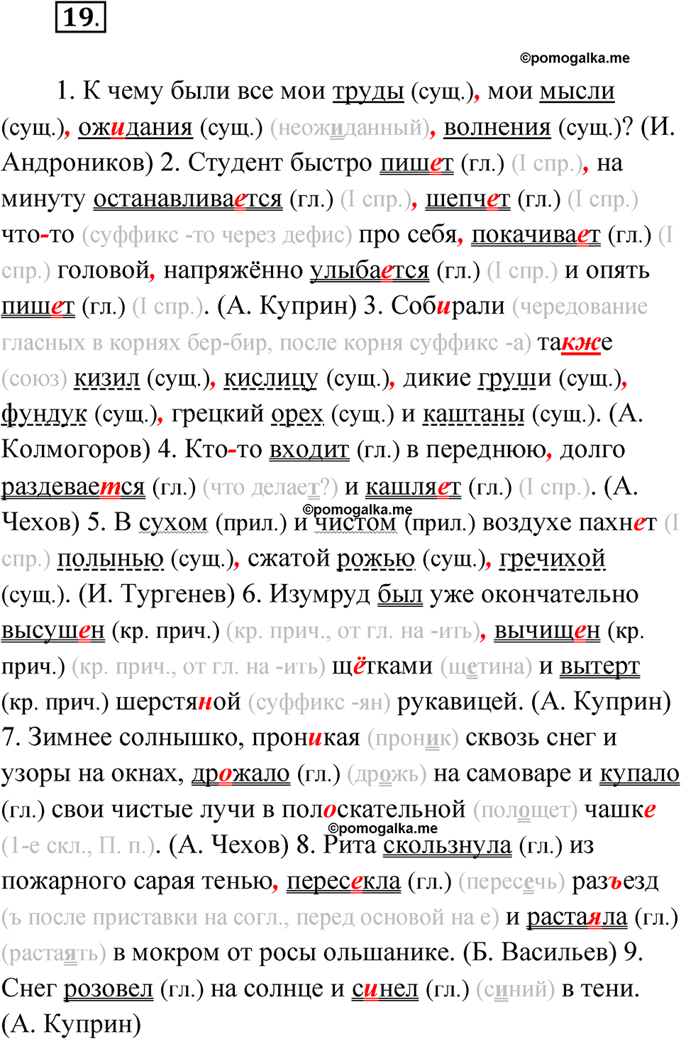 страница 21 упражнение 19 русский язык 8 класс Бондаренко рабочая тетрадь 2 часть 2024 год