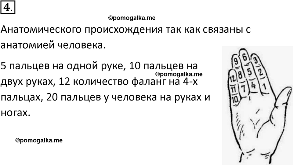 страницы 13-14 параграф 1.1 номер 4 учебник по информатике 8 класс Босова просвещение 2023 год