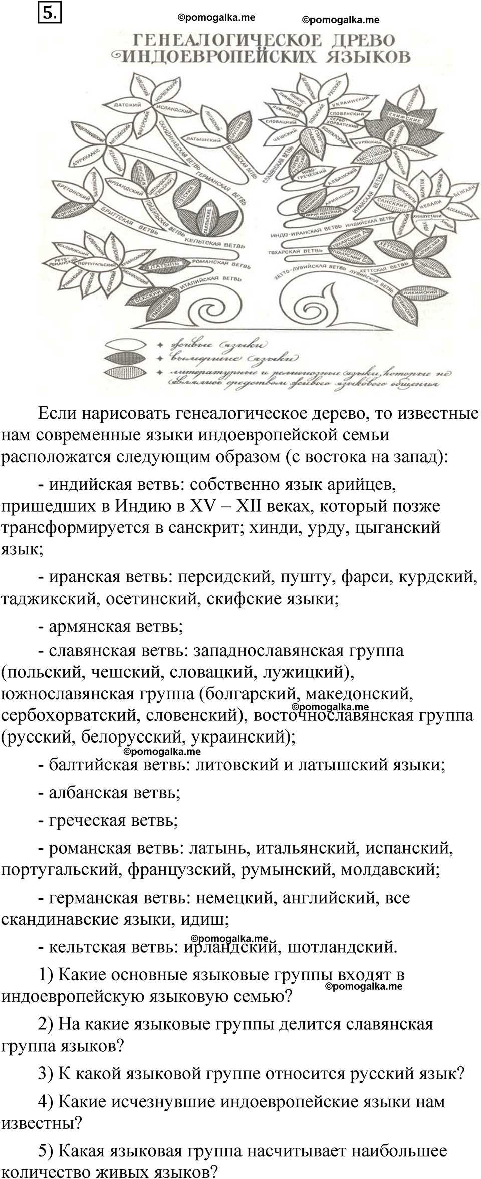 упражнение 5 русский язык 8 класс Быстрова 1 часть 2025 год
