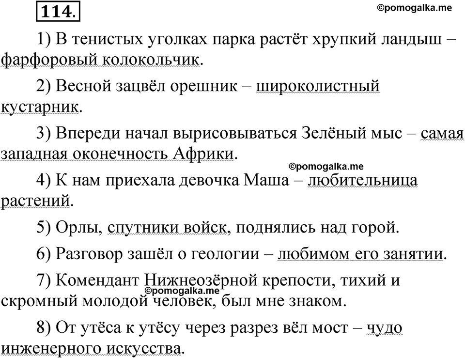 упражнение 114 русский язык 8 класс Быстрова 2 часть 2025 год