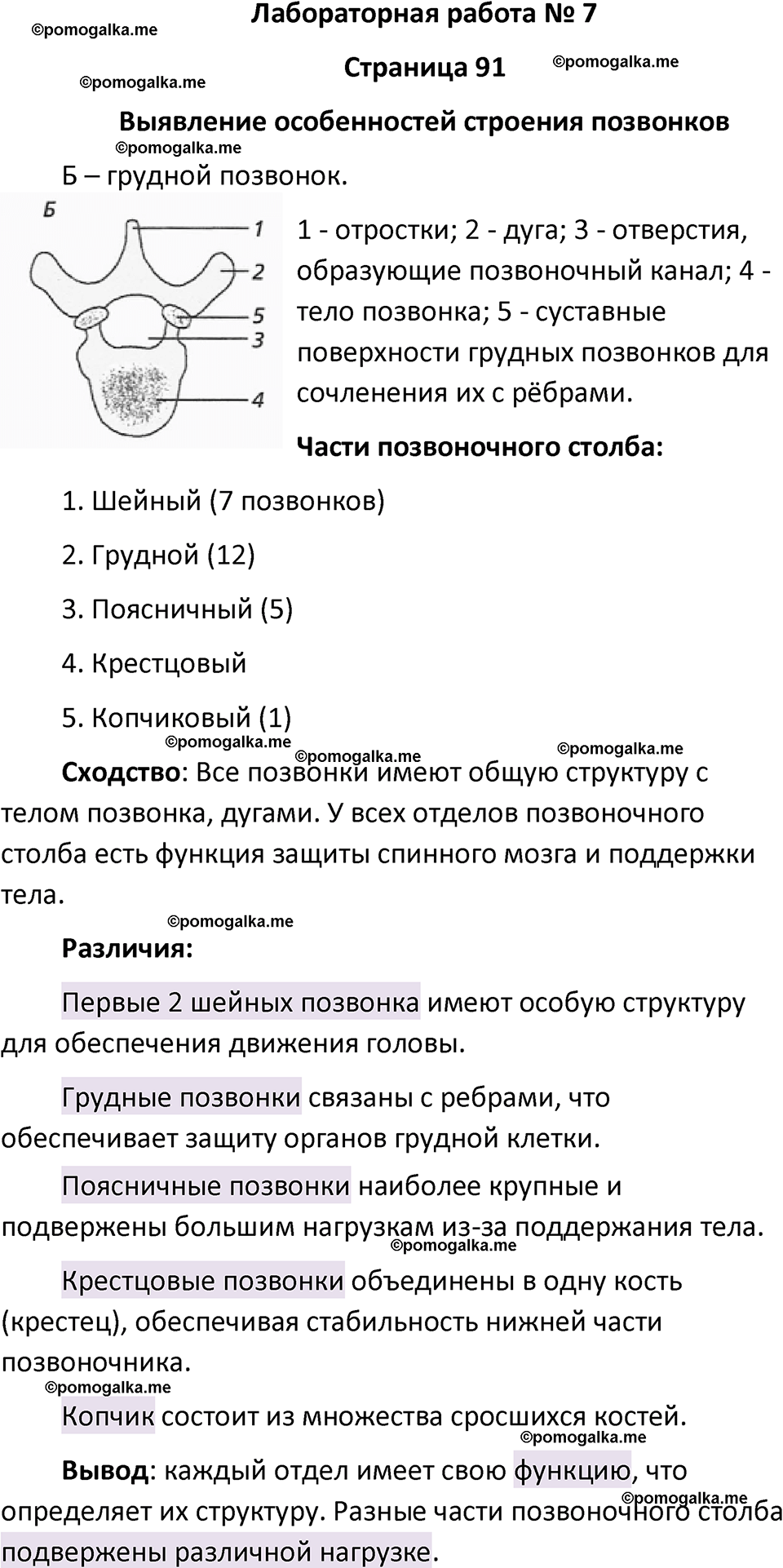 страница 91 биология 8 класс Драгомилов, Маш учебник 2023 год