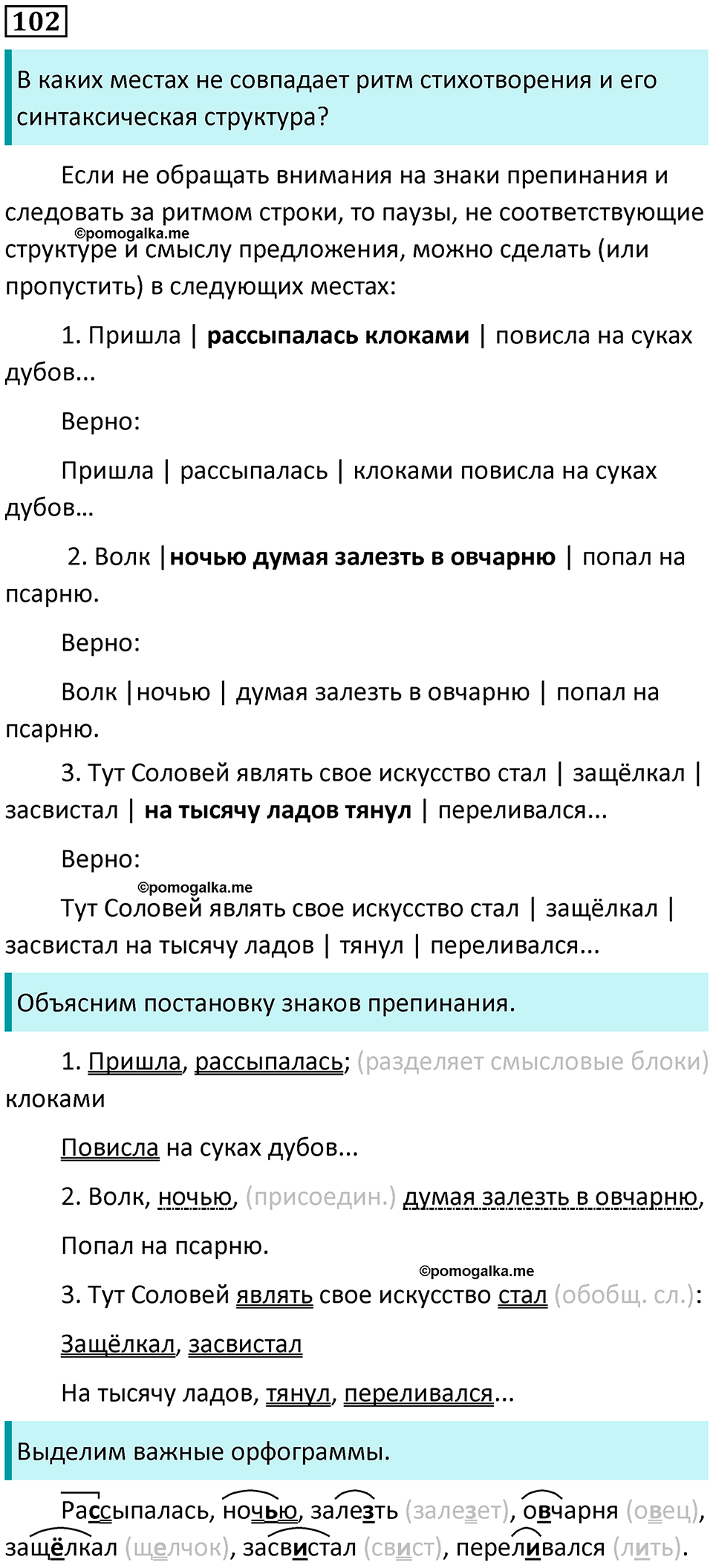 страница 58 упражнение 102 русский язык 8 класс Пичугов, Еремеева учебник 2024 год